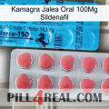 Kamagra Oral Jelly 100Mg Sildenafil new14